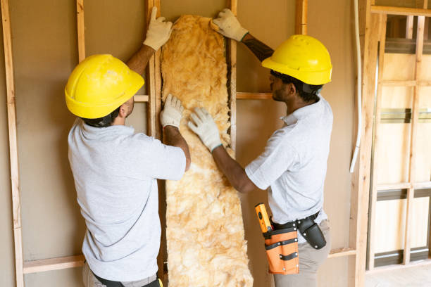 Best Spray Foam Insulation  in Pecan Acres, TX